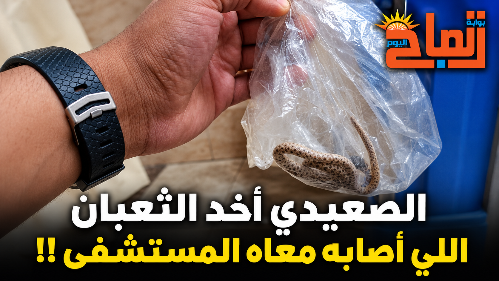 أغرب حالة في طوارئ نجع حمادي.. المصاب والثعبان يصلان معًا